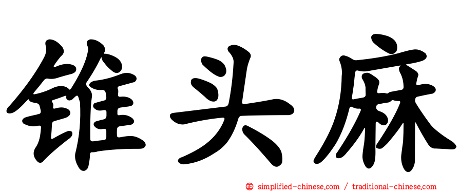 锥头麻