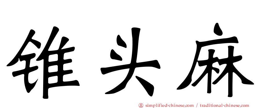 锥头麻