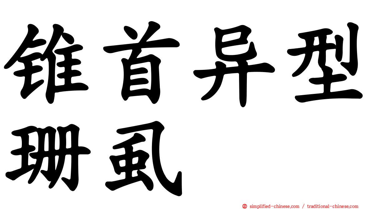 锥首异型珊虱