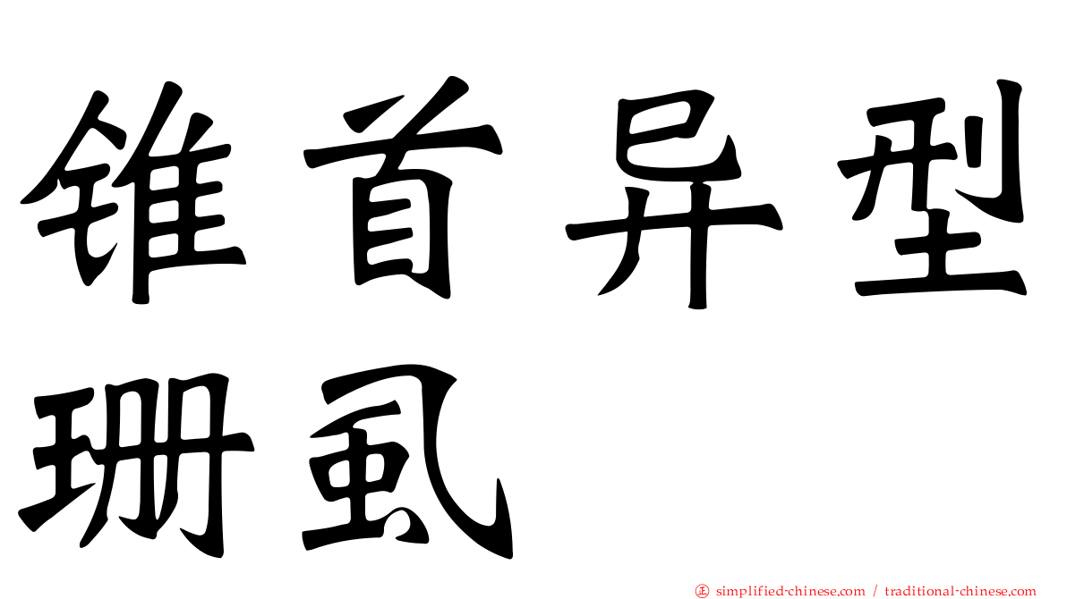 锥首异型珊虱
