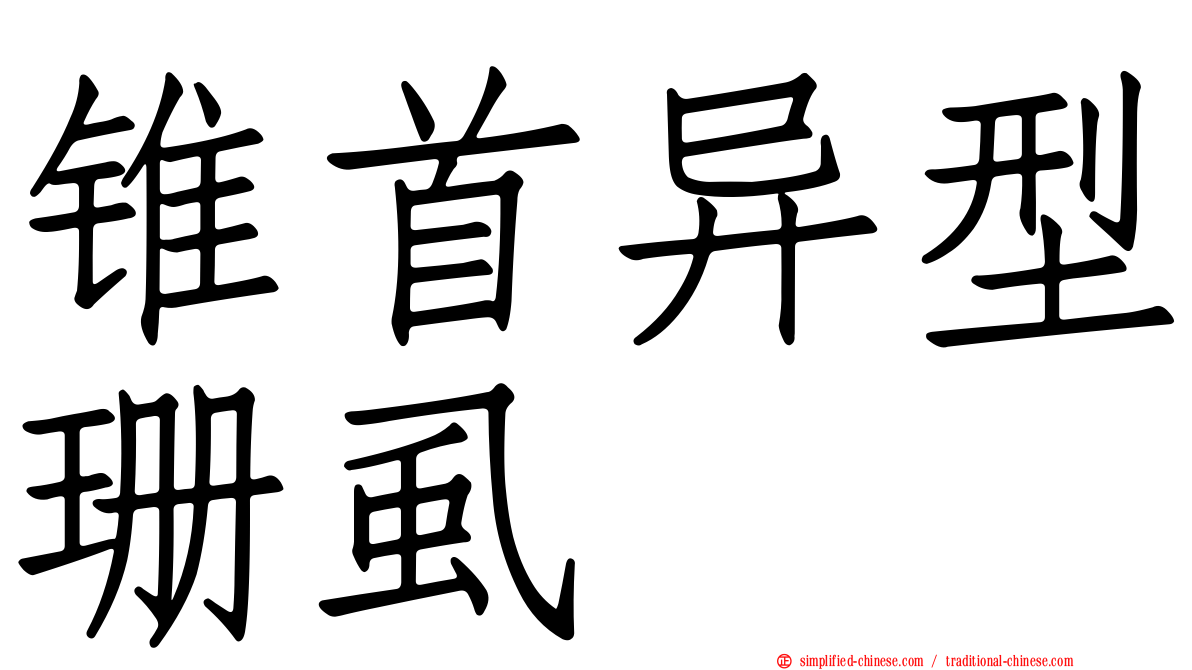 锥首异型珊虱