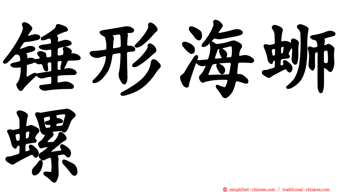 锤形海蛳螺