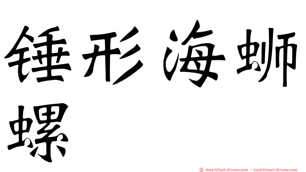 锤形海蛳螺
