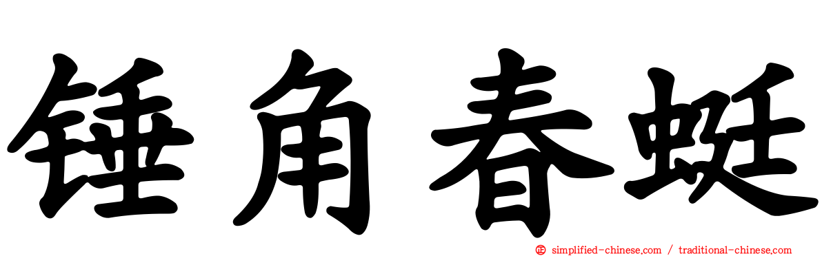 锤角春蜓
