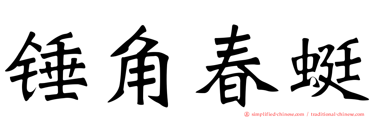 锤角春蜓