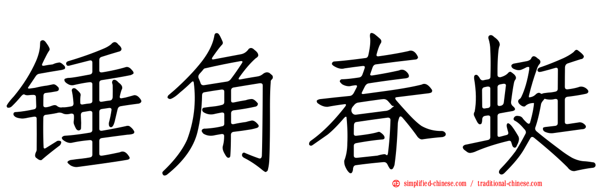锤角春蜓