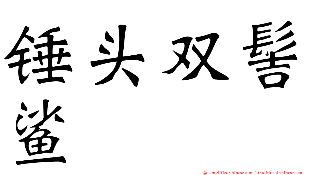 锤头双髻鲨