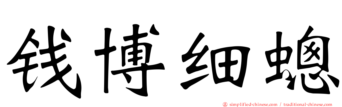 钱博细蟌