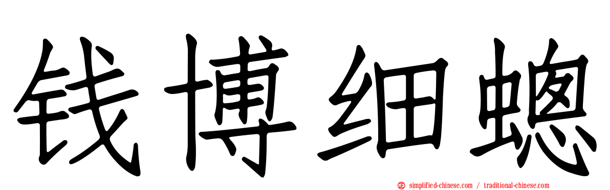 钱博细蟌