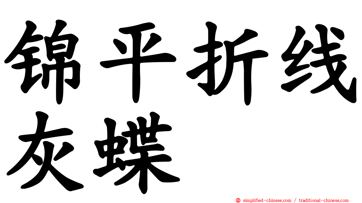 锦平折线灰蝶