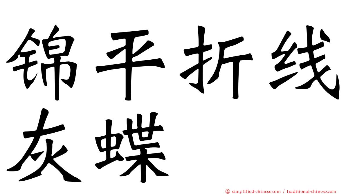 锦平折线灰蝶