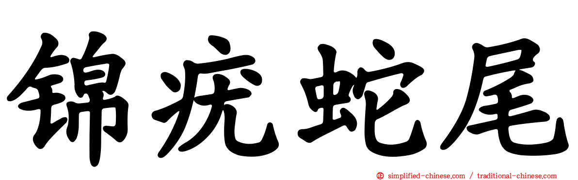 锦疣蛇尾