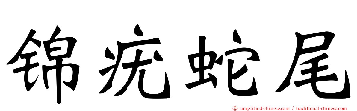 锦疣蛇尾
