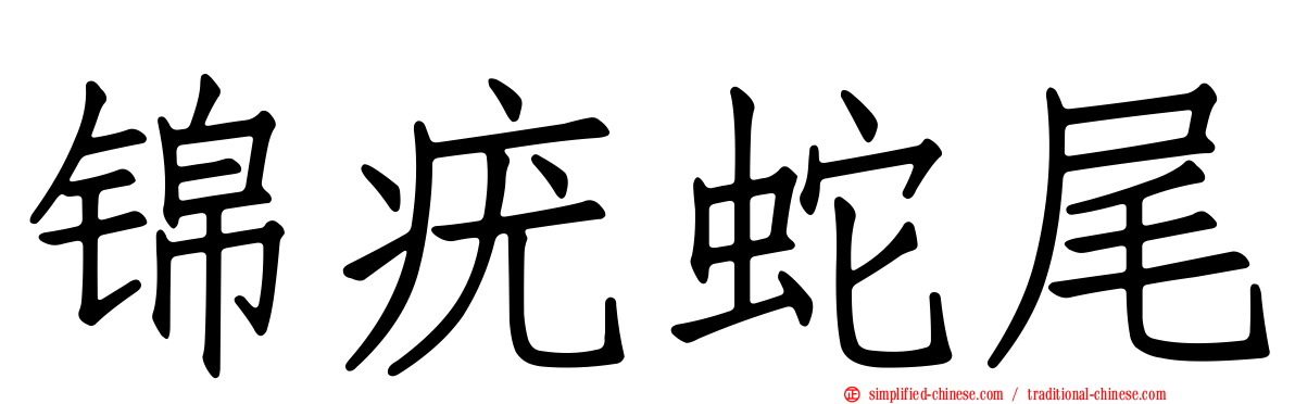 锦疣蛇尾