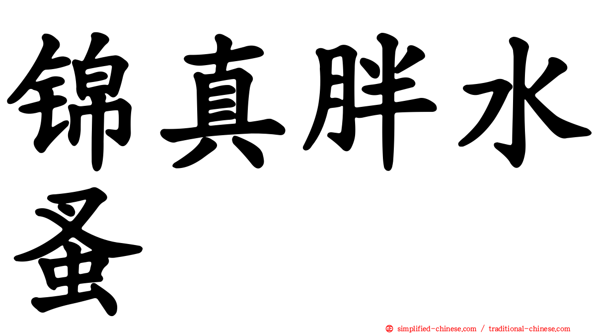 锦真胖水蚤