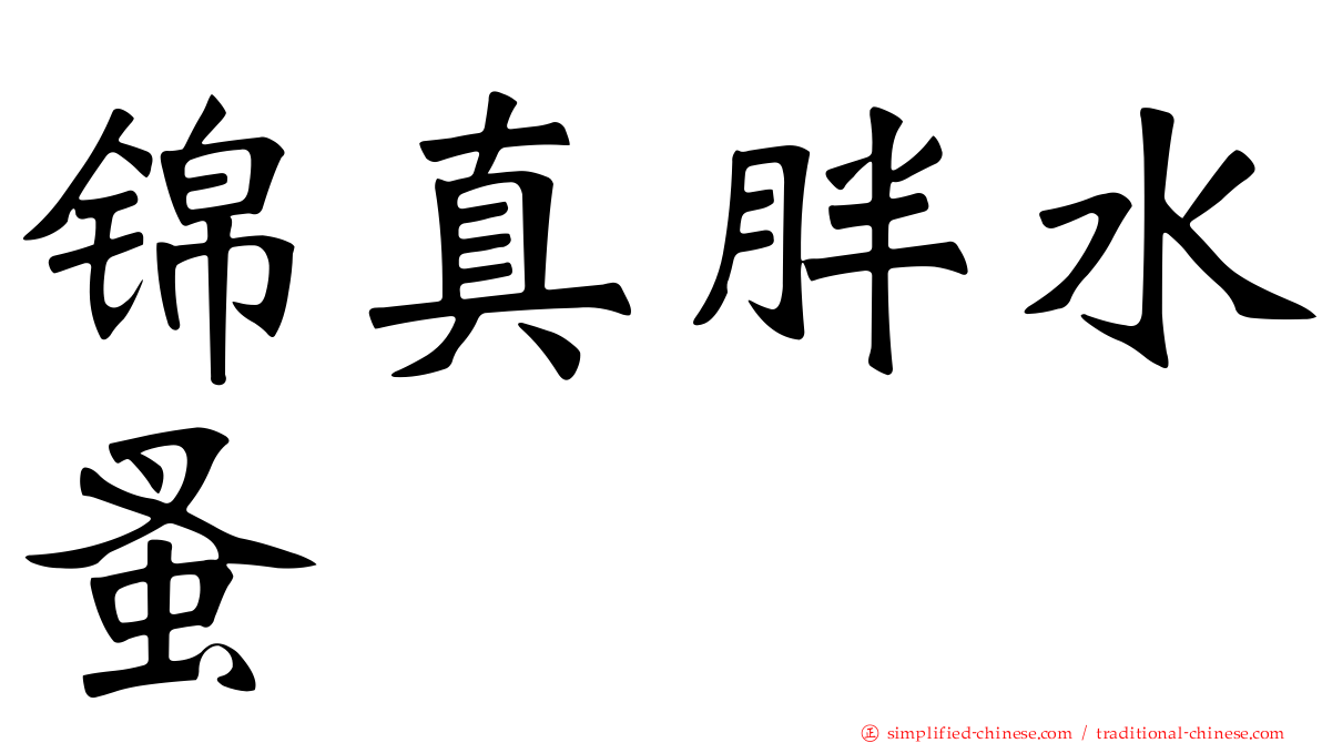锦真胖水蚤