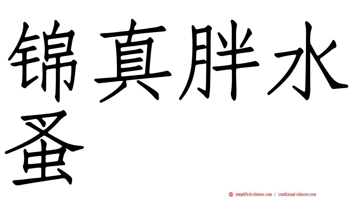 锦真胖水蚤