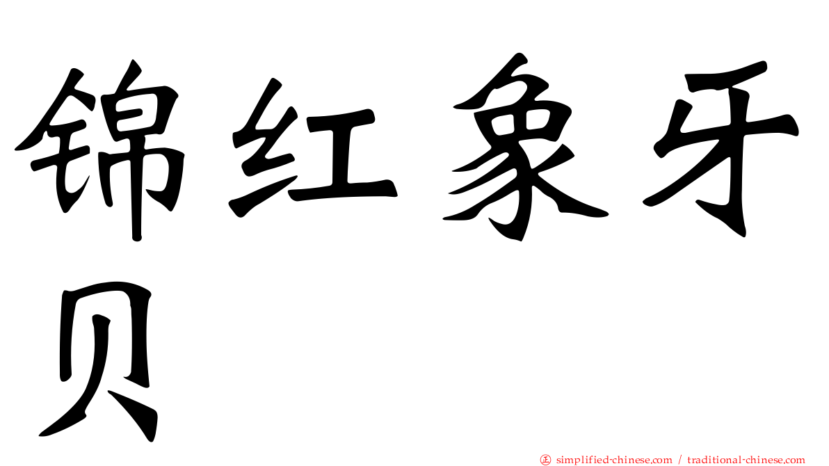 锦红象牙贝