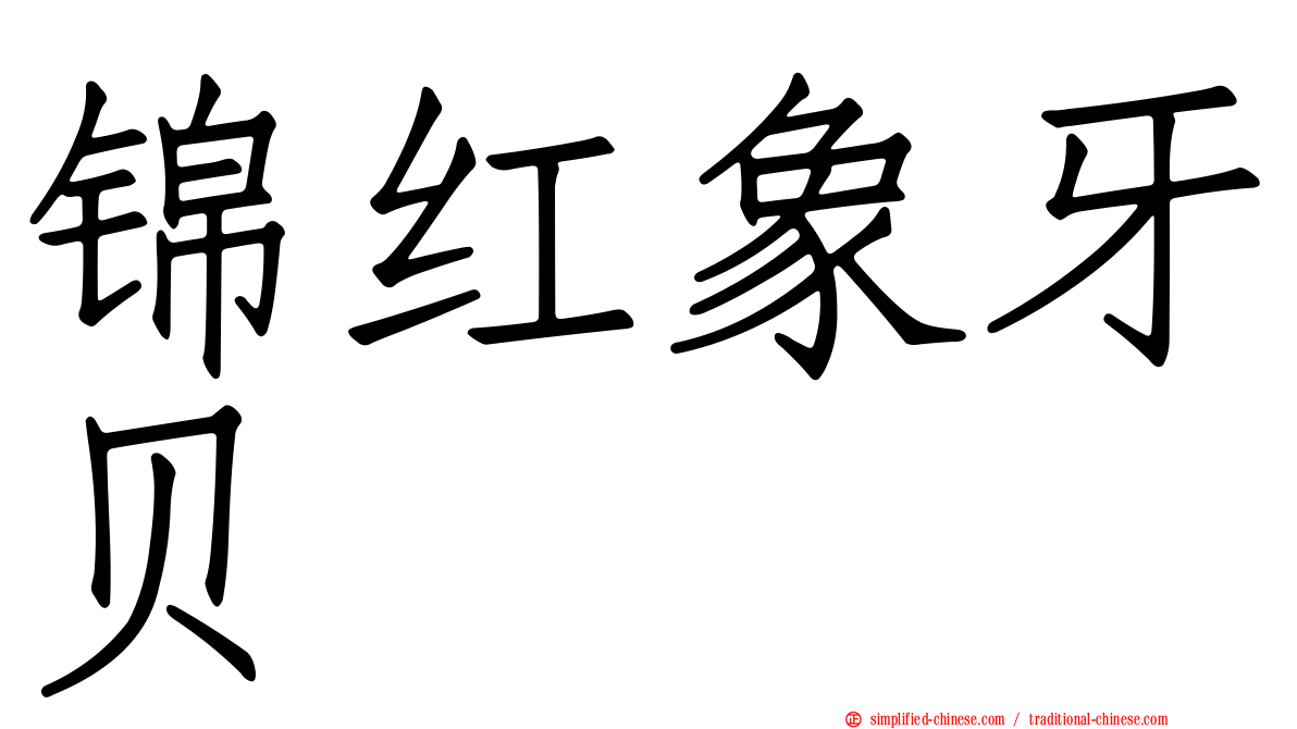 锦红象牙贝