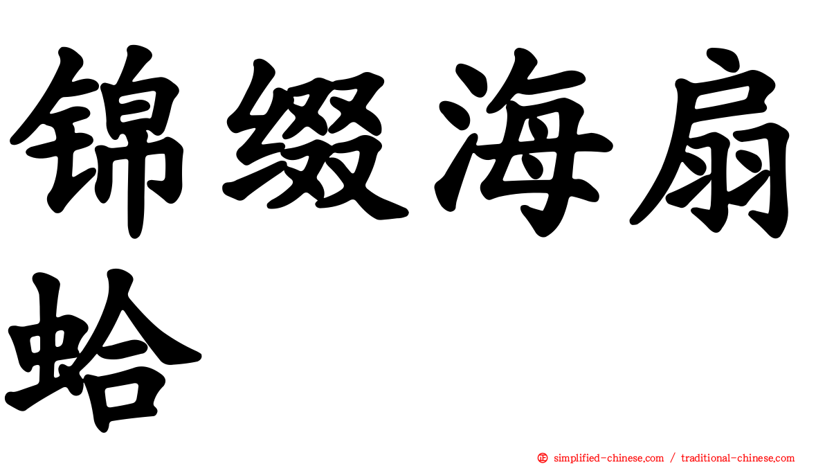 锦缀海扇蛤