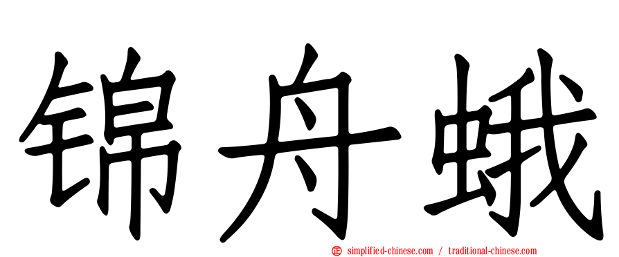 锦舟蛾