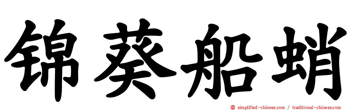 锦葵船蛸
