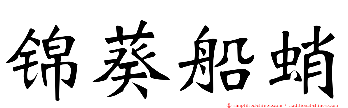 锦葵船蛸