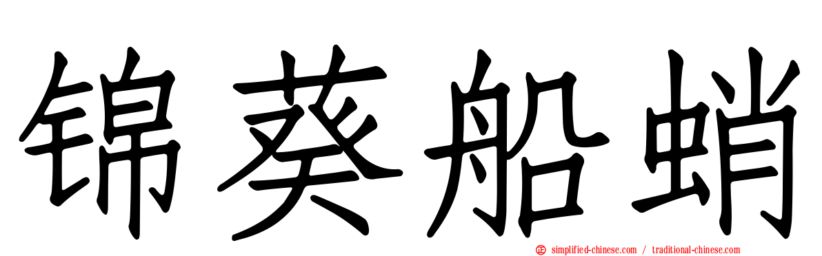 锦葵船蛸