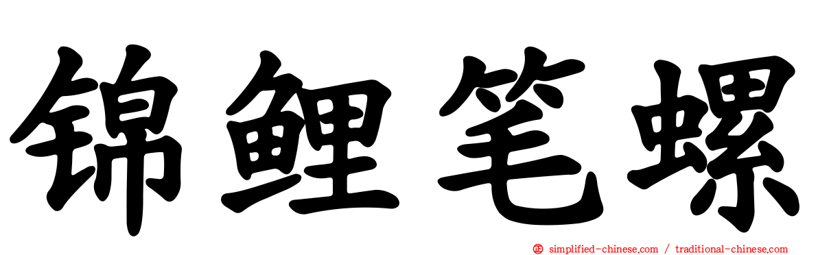 锦鲤笔螺
