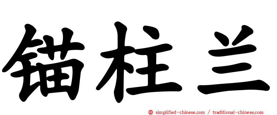 锚柱兰