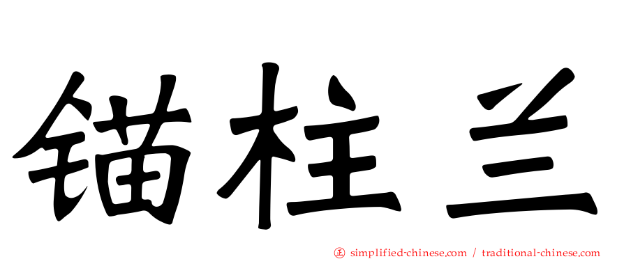 锚柱兰