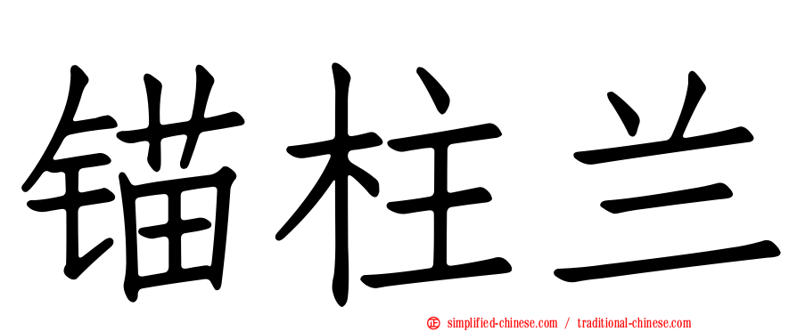 锚柱兰