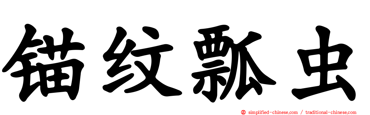 锚纹瓢虫
