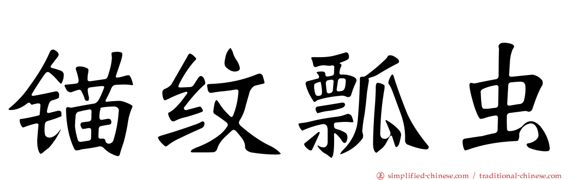 锚纹瓢虫