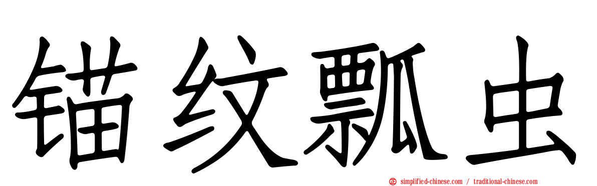 锚纹瓢虫