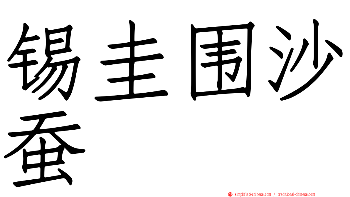 锡圭围沙蚕