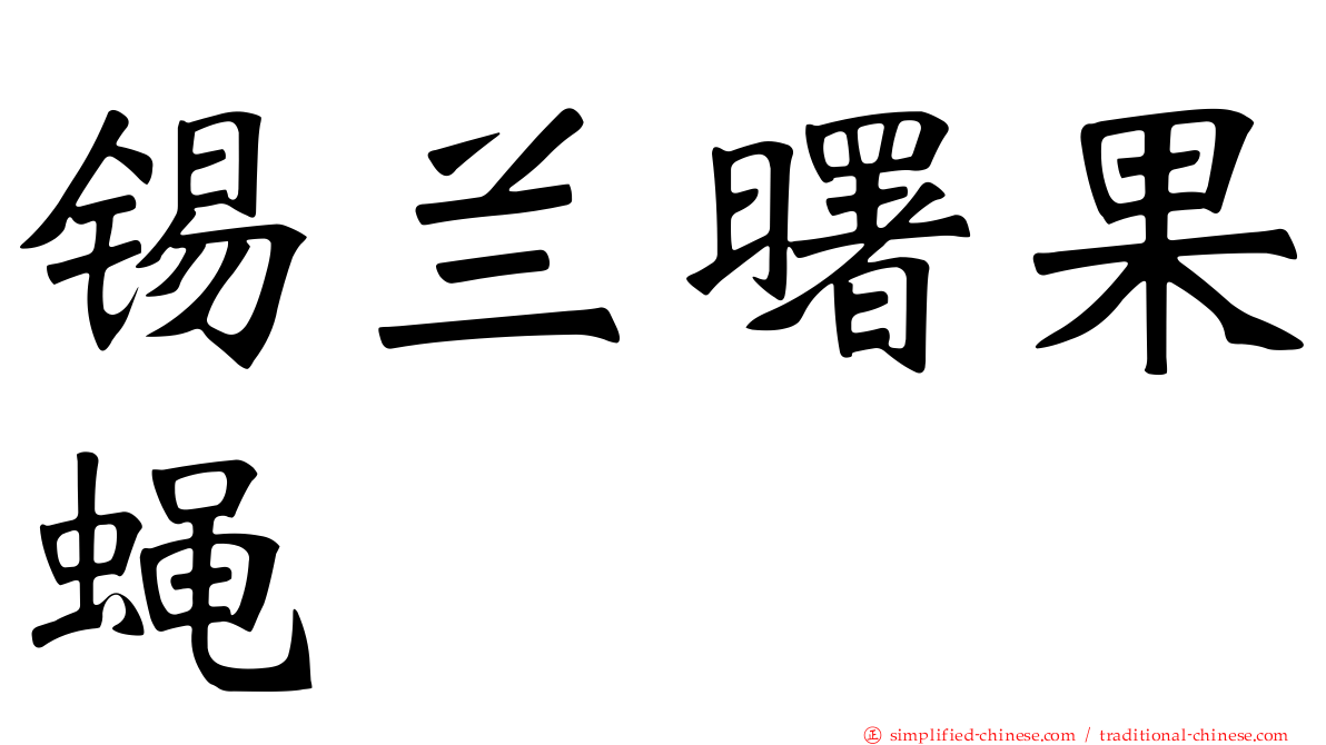 锡兰曙果蝇