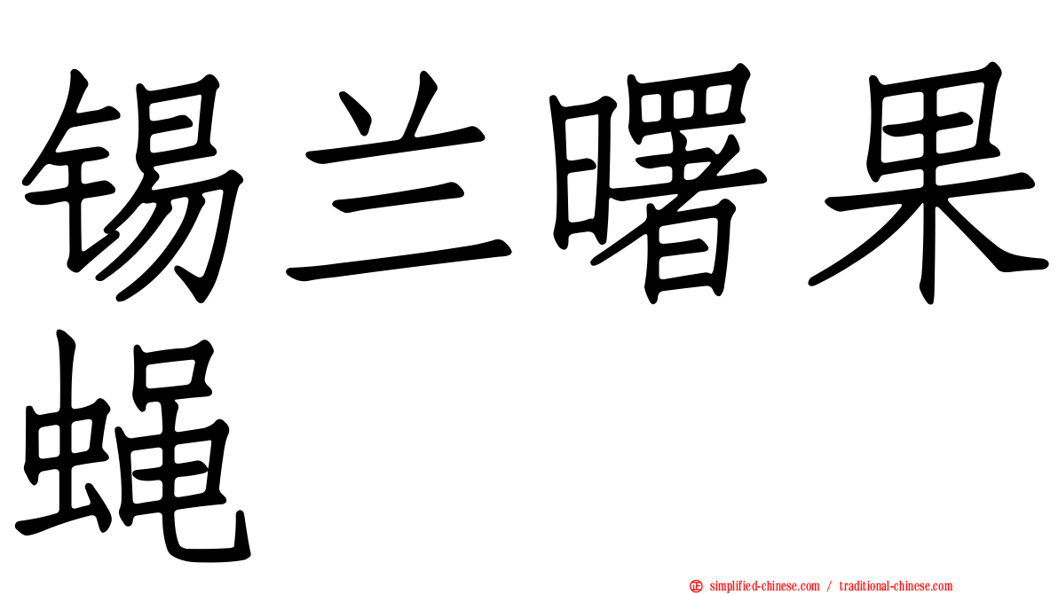 锡兰曙果蝇