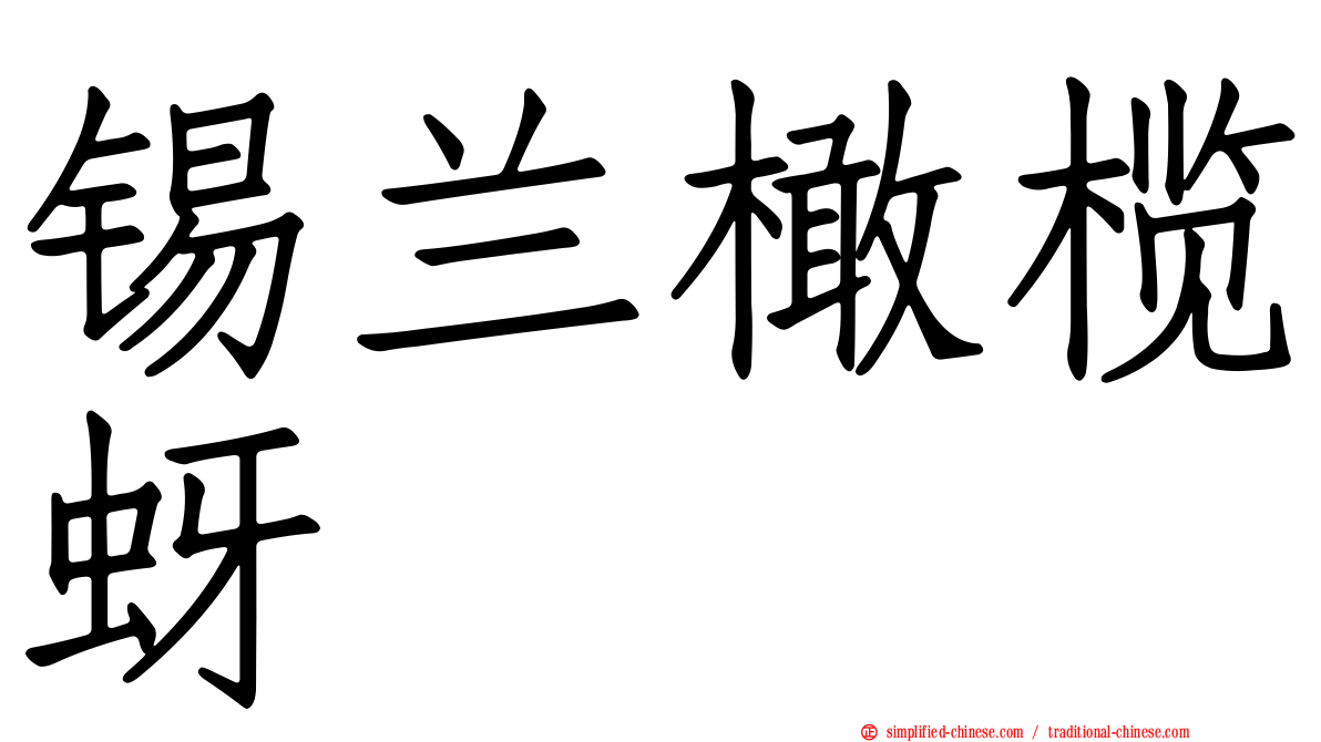 锡兰橄榄蚜