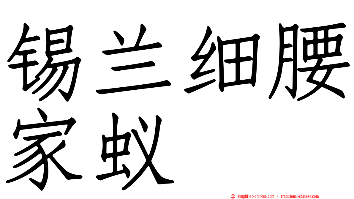 锡兰细腰家蚁