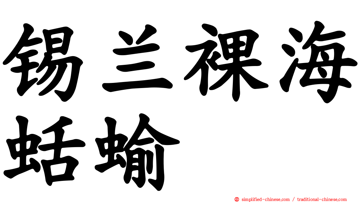 锡兰裸海蛞蝓