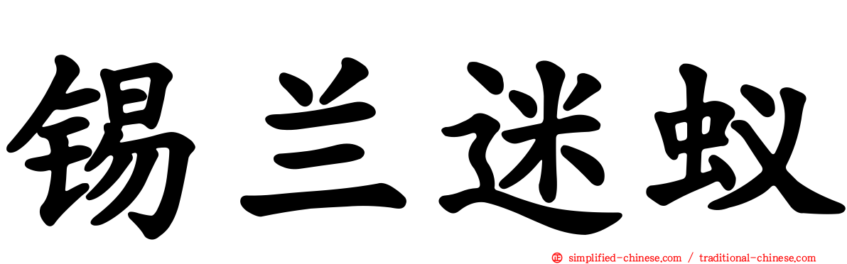 锡兰迷蚁