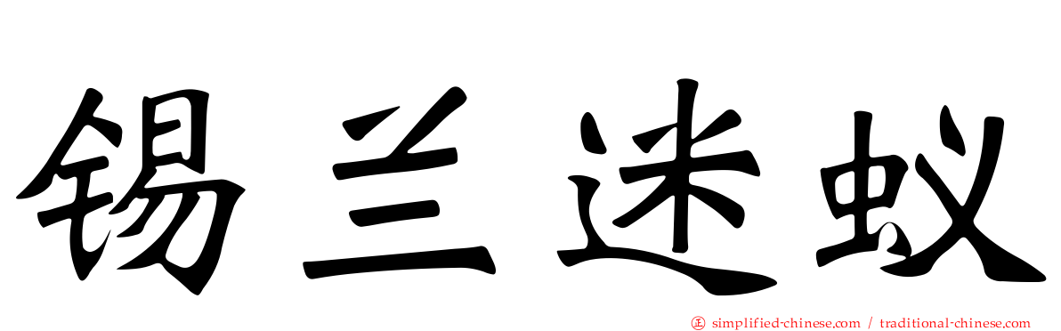 锡兰迷蚁