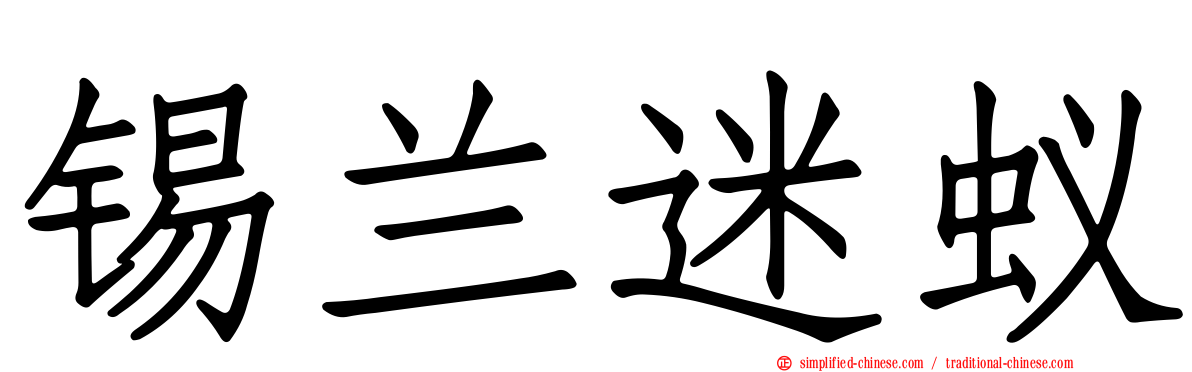 锡兰迷蚁