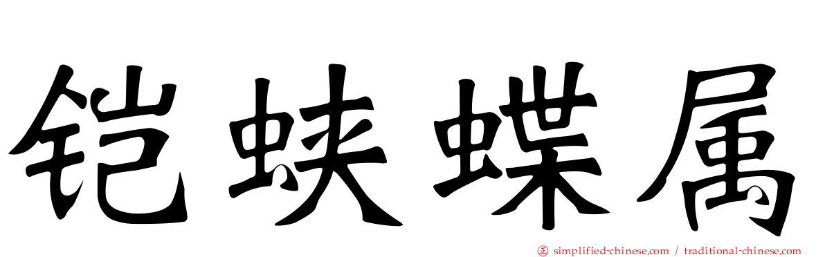 铠蛱蝶属