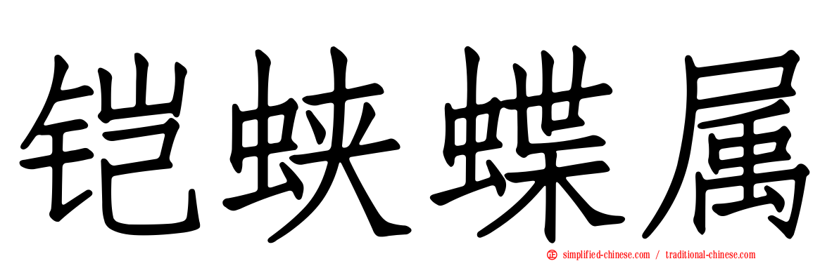 铠蛱蝶属