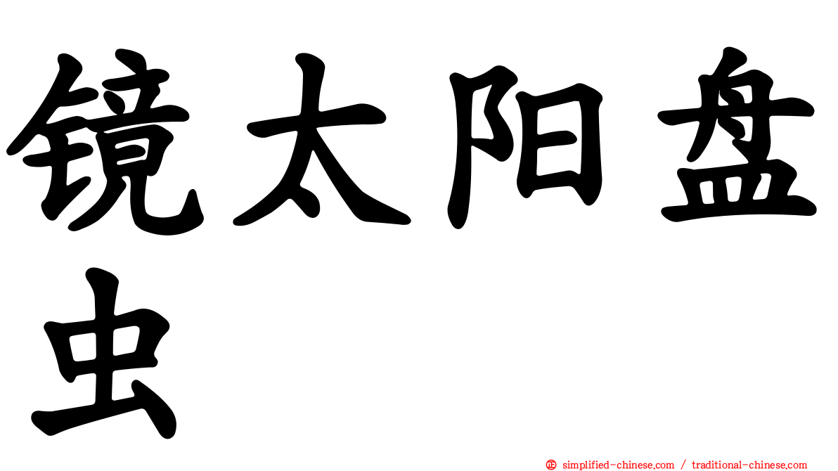 镜太阳盘虫