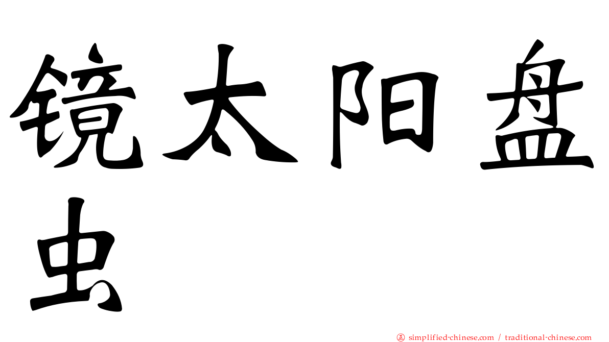镜太阳盘虫