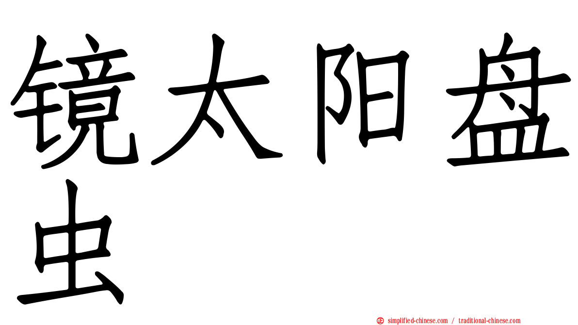 镜太阳盘虫