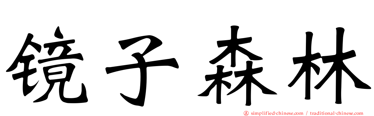 镜子森林